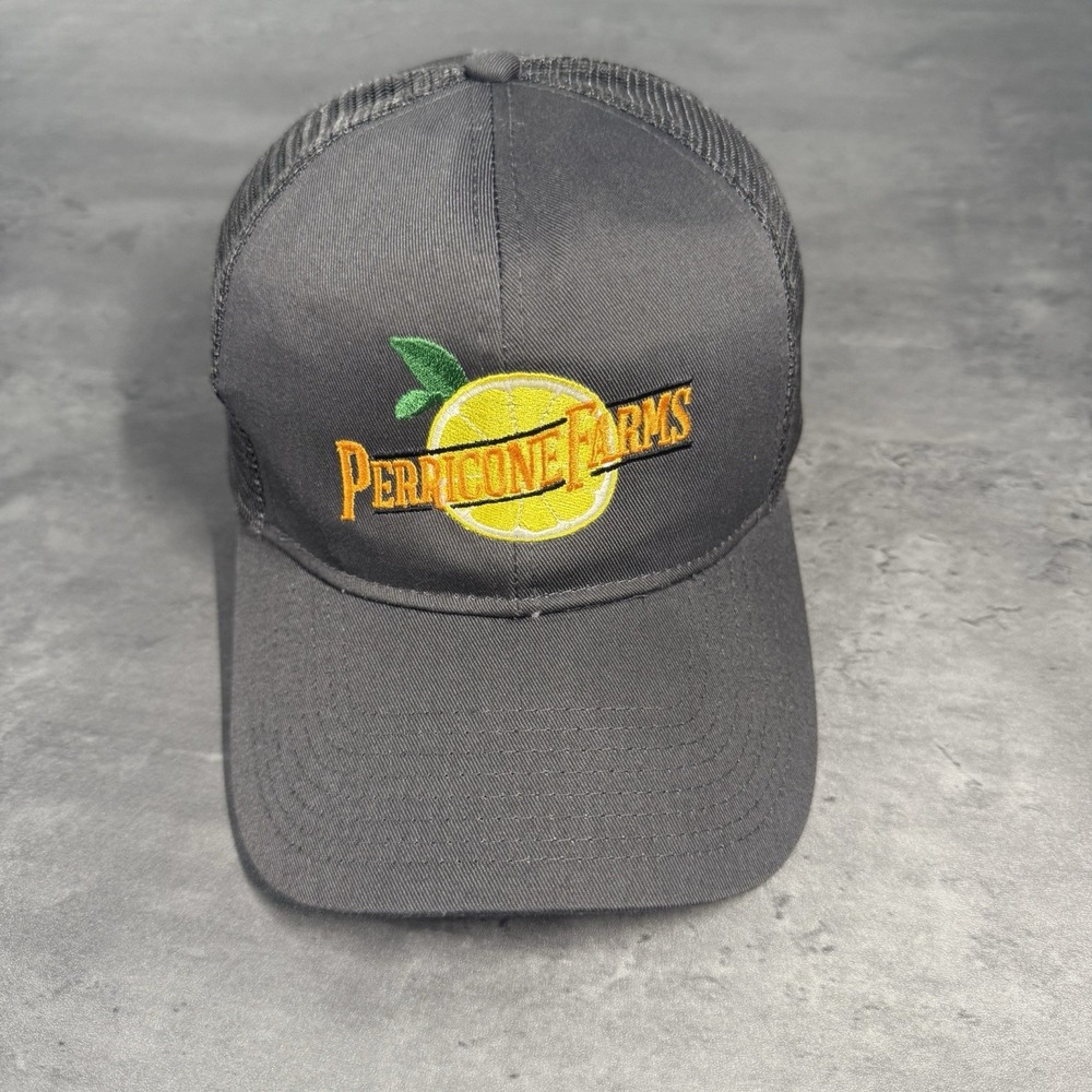 Perricone Farms Juice Snapback Hat Gray Mesh Trucker Cap Citrus Chore‎ Lemonade